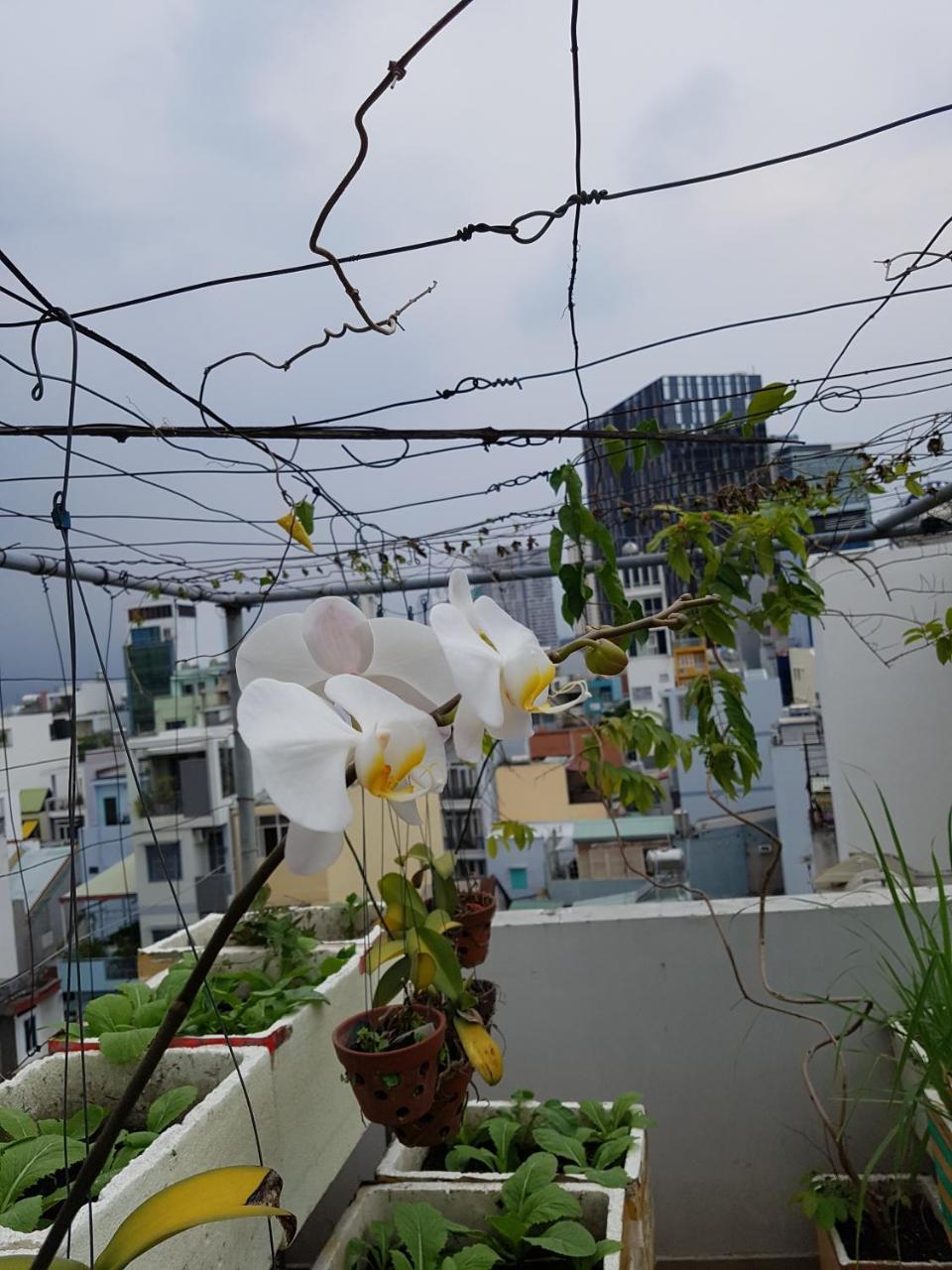Urban House Saigon 2 Cidade de Ho Chi Minh Exterior foto